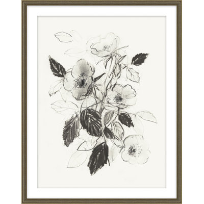 Dog Roses In Bloom 1 Print