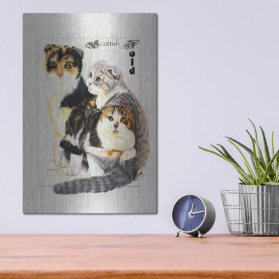 «Scottish Fold» par Barbara Keith