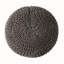 POUF HASEL-1300312763