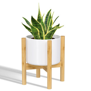 Support à plante en bambou Support pour plante moderne pour plantes d'intérieur Mid Century Modern