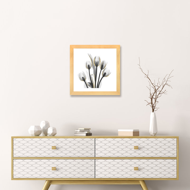« doréy tulipes i » par albert koetsier,-print, H 24 po x l 24 po x P 1 po, Papier encadré naturel