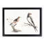 Songbird & Bee-Eater Bird by Johan Teyler - Framed Print-55726161-55726158