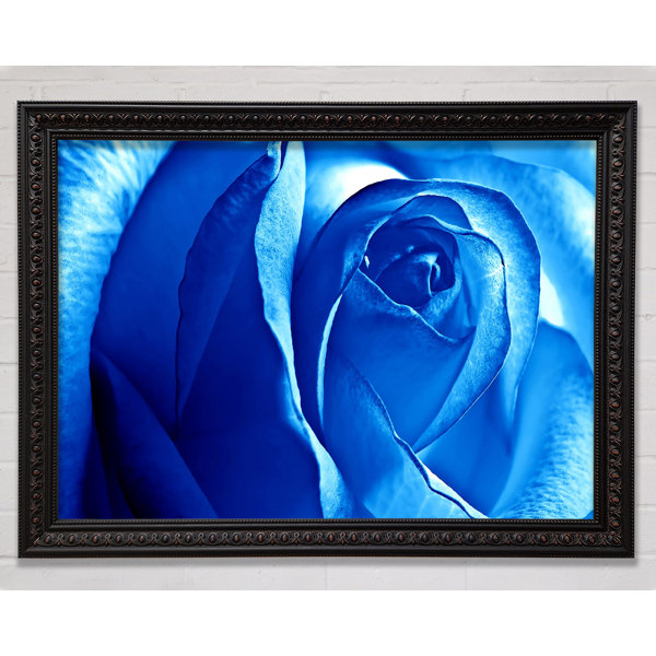Bright Star Blue Rose - Single Picture Frame Art Prints | Wayfair.co.uk