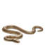 Object Serpent Vintage Brass Finish