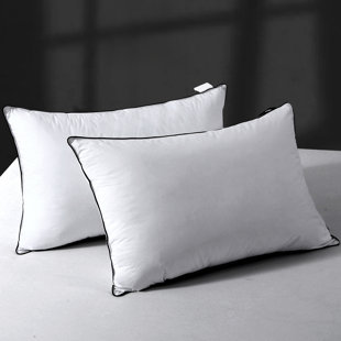 Ensemble de 2 oreillers en duvet 100% coton biologique