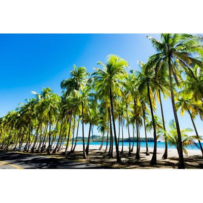 Palms At The Beach by Thomas Ramsauer - Wrapped Canvas Print