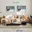 Cerf Stare-821299894-821299892