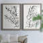 Sprig Contour I - ensemble de 2 reproductions d'art sur papier encadré-285995233-285995242