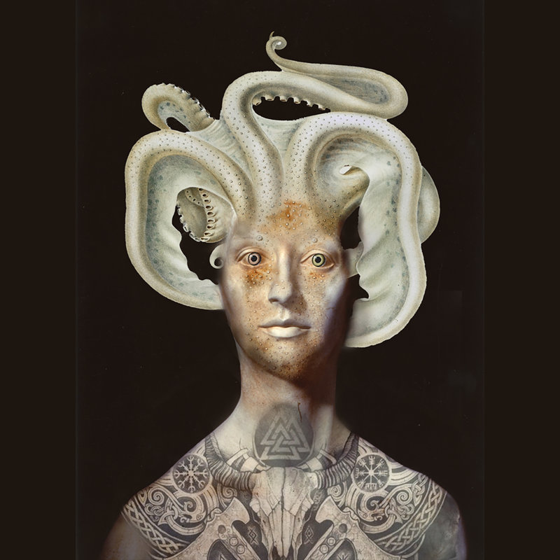 Octopus by Anna Wilczopolska-Jasyk - No Frame Print