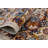Lucha Oriental Indoor Rug-2109165316