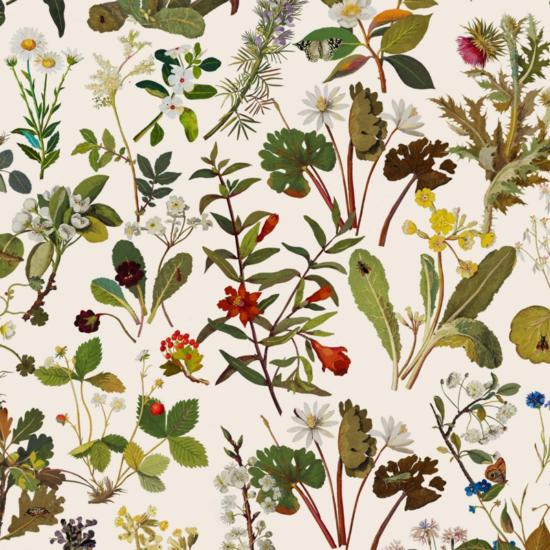 Herbarium 9.84' L x 70.87" W Wallpaper Roll, Ecru