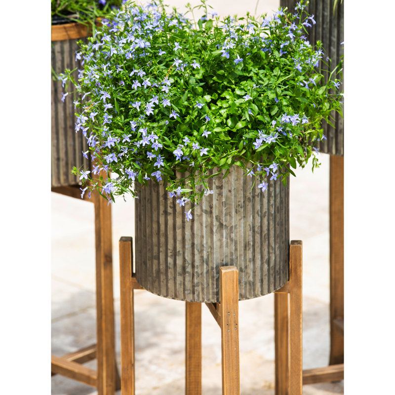 Hillhurst Wood Pot Planter