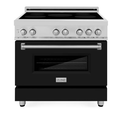 ZLINE 24"" 2.8 cu. ft. Induction Range with Electric Oven in Black Stainless Steel -  RAIND-BS-24