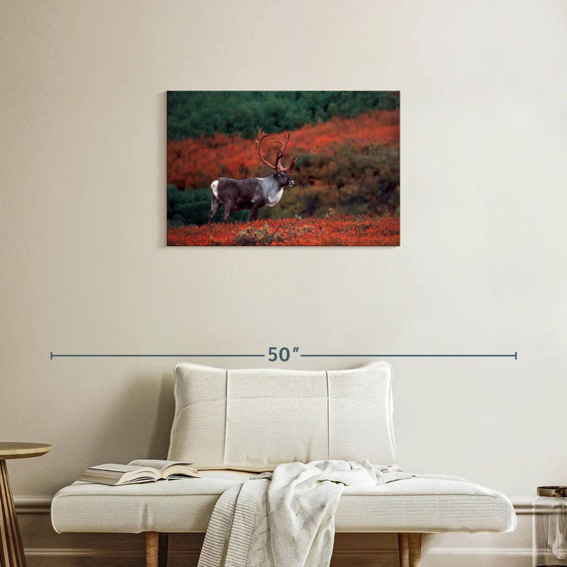 Caribou d'automne Brampt, H 20 po x l 30 po