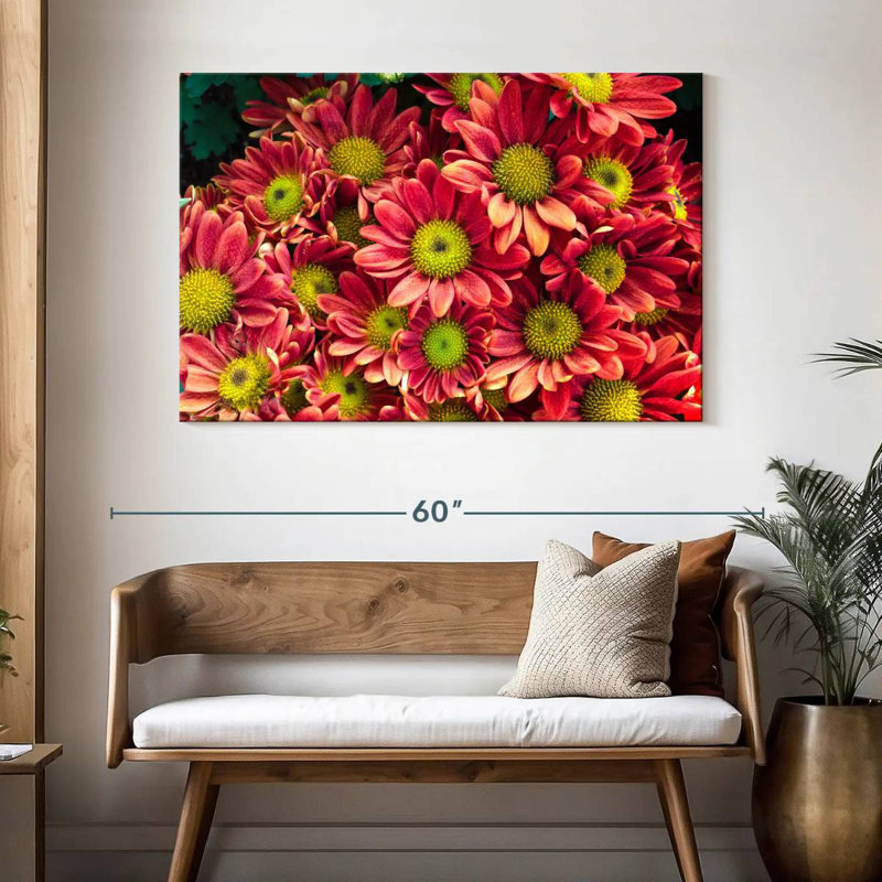 Harnek Daisy Chrysanthemums, 32" H x 48" W