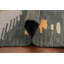 Tapis kilim en laine Southwestern