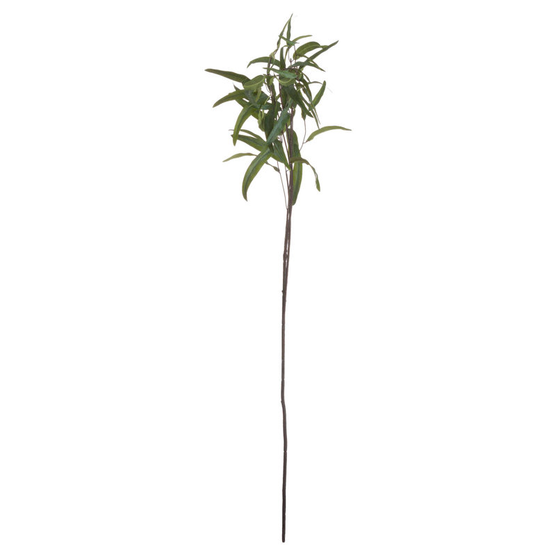 Anastasija Arrangement