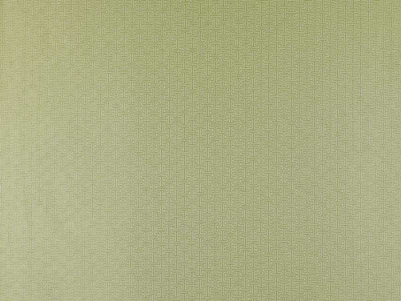 Dorsoduro Meandros Fabric, Pistachio
