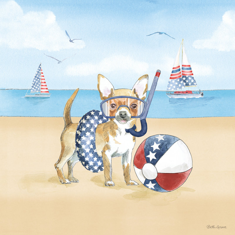 «Summer Paws Patriotic II» par Beth Grove - reproduction d'art sur toile tendue, H 36 po x l 36 po, No, Cadre flottant érable