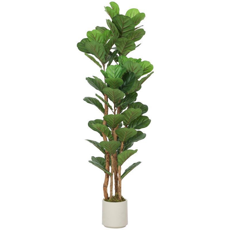 Plant, 150 cm x 50 cm