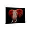Art mural en verre trempé sans cadre éléphant rouge - 40 po x 60 po