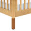 Gelato 4-in-1 Mini Convertible Crib-459939487