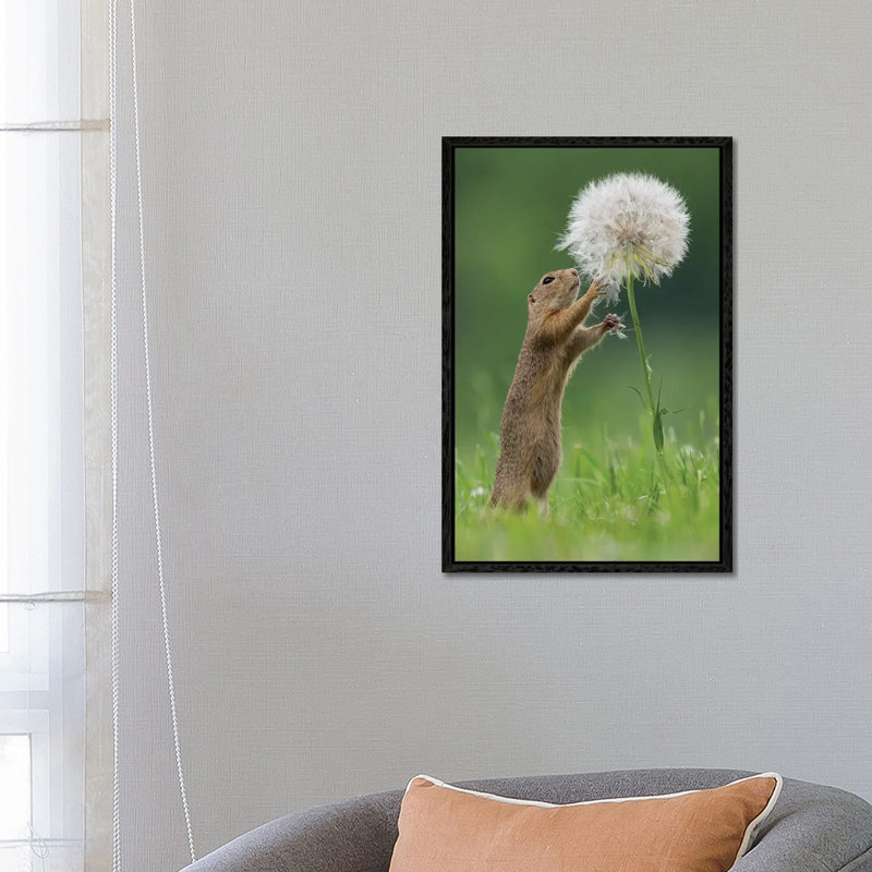 Ziesel With A Very Big Dandelion IV by Dick Van Duijn - Print on Canvas, 66.04cm H x 45.72cm W x 3.81cm D, Black Framed