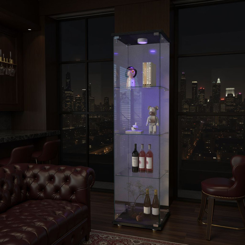 Vitrine moderne en verre avec lumières DEL, Noir / transparent
