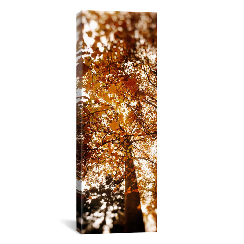 Reproduction d’art sur toile tendue, "panoramic volunteer park, seattle, washington state", H 48 po x l 16 po x P 1,5 po