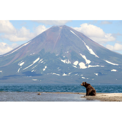 Bear And A Volcano by Dpshp - Wrapped Canvas Print