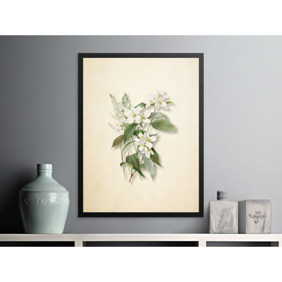 Avalos 1 Piece Wall Art