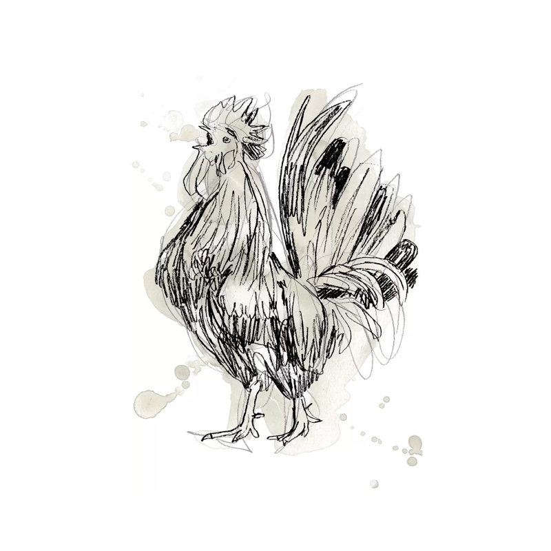 Feathered Fowl II by June Erica Vess - Wrapped Canvas Gallery-Wrapped Canvas Giclée, 30.48cm H x 20.32cm W