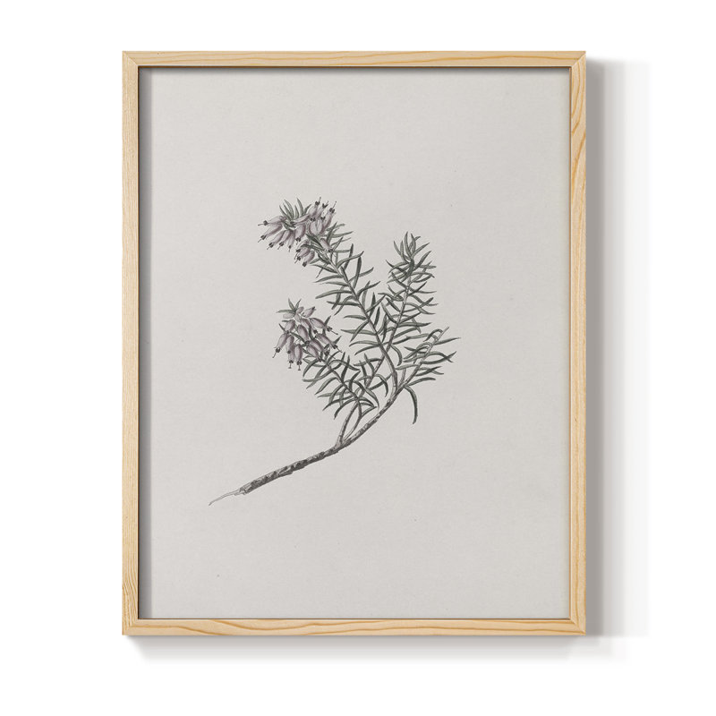 Impression florale vintage encadrée CLXIX - bois massif, Naturel, H 21 po x l 17 po