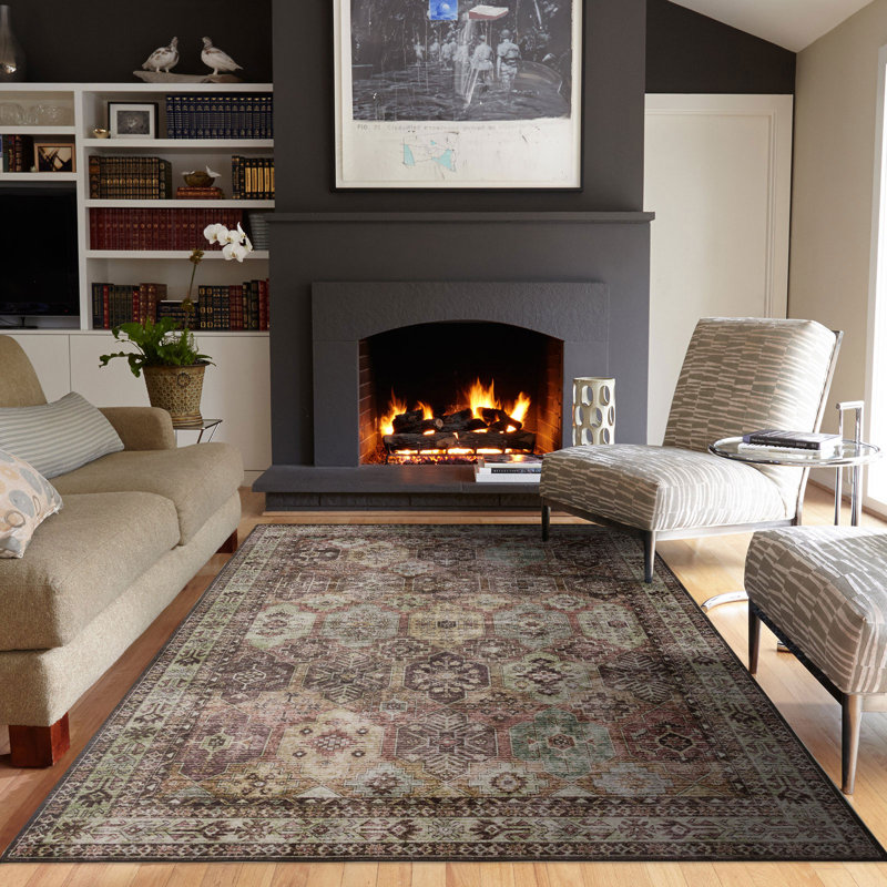 Brown/Earth BAOLA Vintage Distressed Tribal Pattern Design Area Rugs for Living Room Bedroom Dining Area, Rectangle 5' x 7'