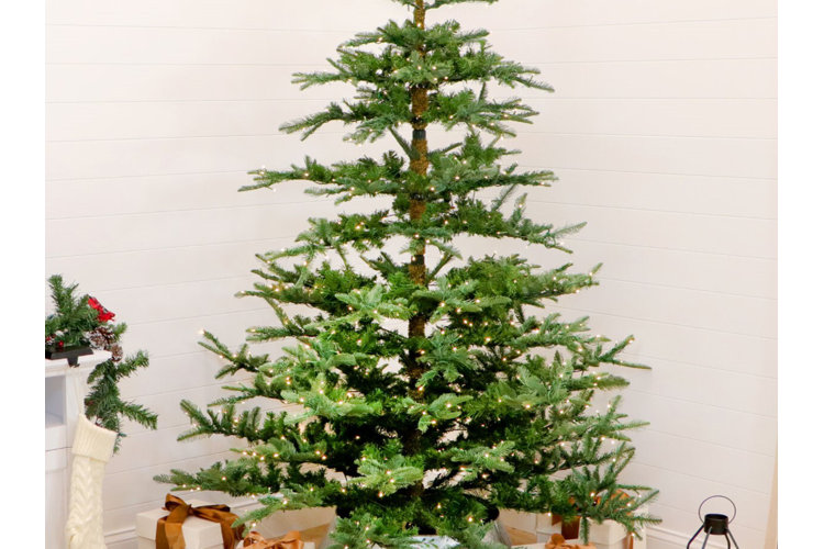 Close-up of a sparse Christmas tree with green foliage and prelit string lights.
