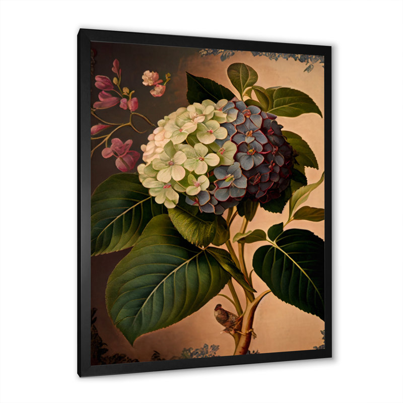 Victorienne rétro Hydrangena I - art mural sur toile florale, Impression noire sur toile encadrée