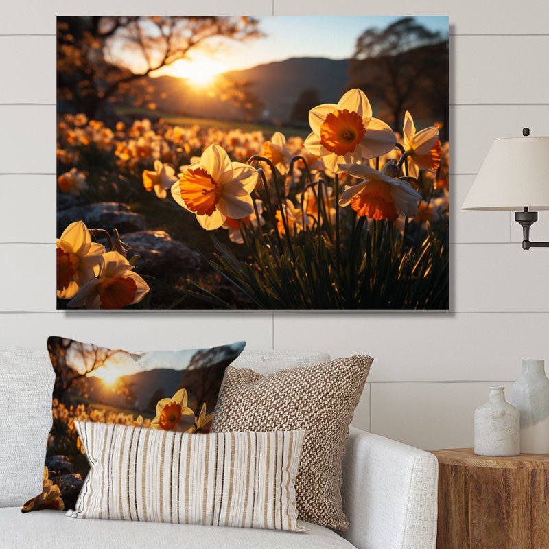 Daffodils Field Sunrise III - Floral Wall Art Prints, H 16 po x l 32 po, Toile tendue