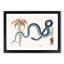 Blue Wampum Snake by Mark Catesby - Picture Frame Painting Print-55679406-55679411