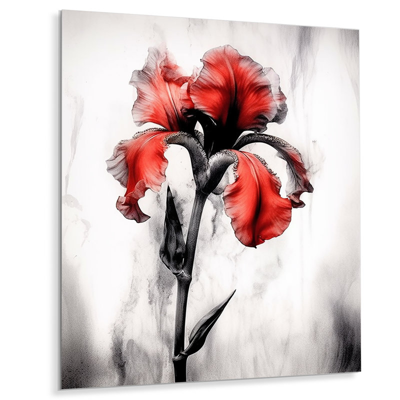 " Red Black Iris Petal I ", 20" H x 12" W x 1" D