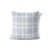 Blue Plaid 1