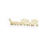 Blocs d’aluminium/acrylique de lettres hollywood