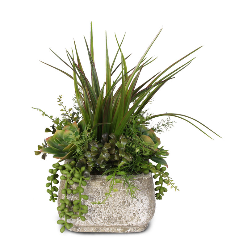 Succulent de l’ensemble de fleurs artificielle de bureau en pot