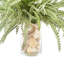 Feather Fern Arrangement with Shells