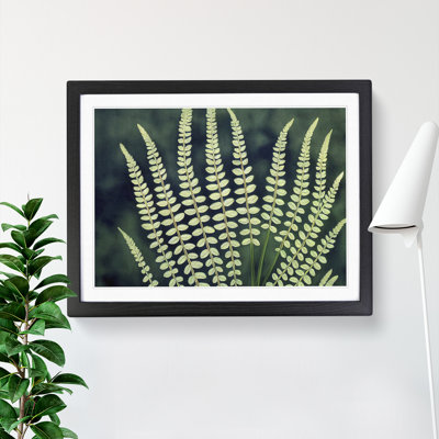 Beguiling Fern Leaf - Framed Print