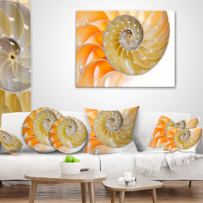 Coussin de coquillage isolé nautilus