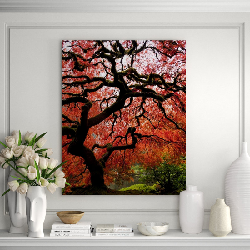 Red Maple Tree Print by Jordan Thurston, 45" H x 36" W x 1.5" D, Glass Coat