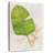 Botanical Journal II-1944026580