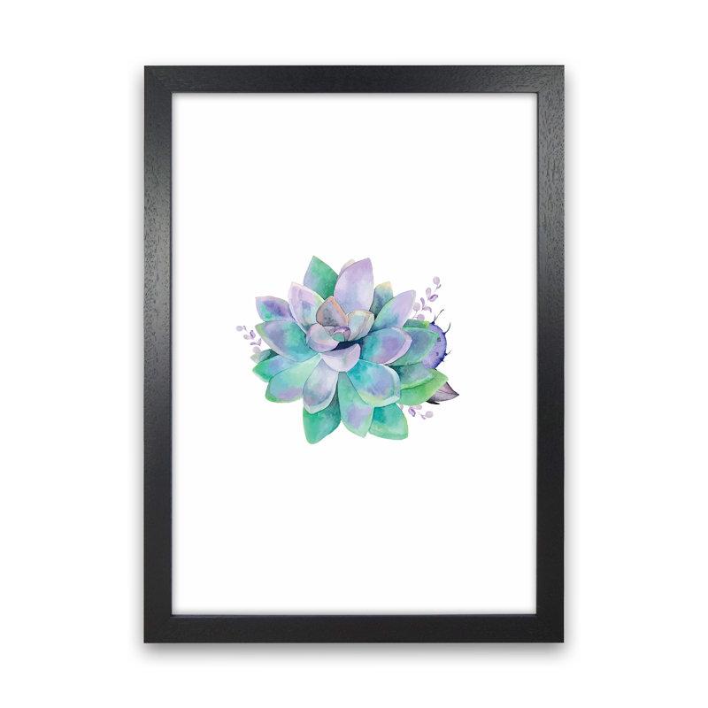Aqua Succulent - Print, 46cm H x 34cm W x 3cm D, Black Framed