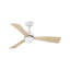 Ventilateur de plafond avec lumières DEL Brona-88410798-88410796