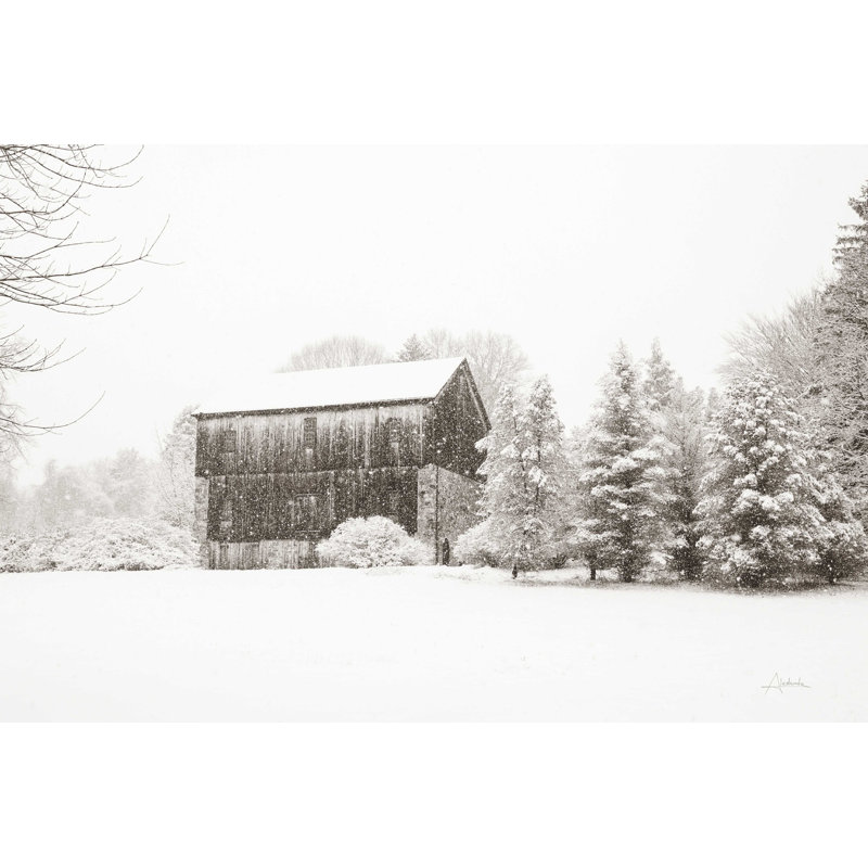 First Snow BW, H 20 po x l 30 po